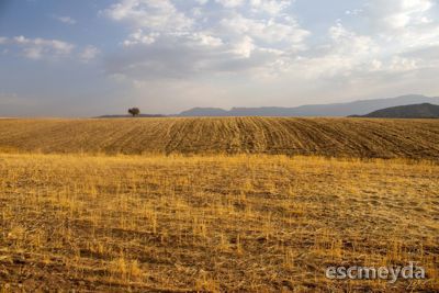 Büğdüz'de 3.400 m² Yola Cepheli Tarla