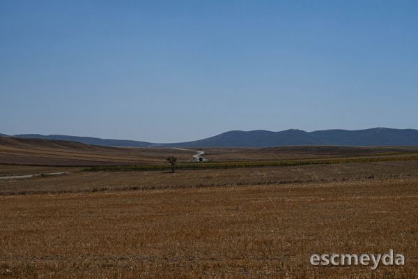 Ahmetadil Mahallesi'nde Yola Cepheli 480 m² Konut İmarlı Arsa